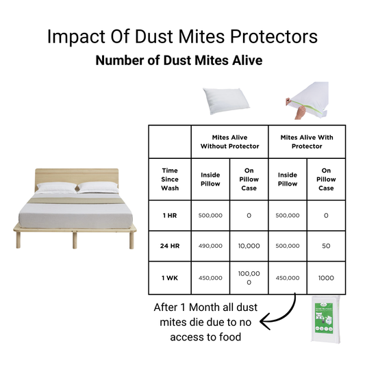 Anti Allergy Bedding Does It Work?