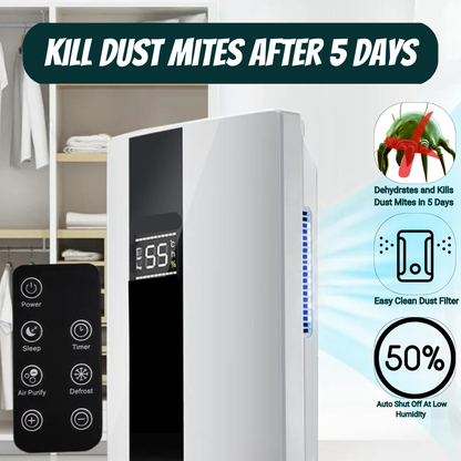 Best Dehumidifier for Dust Mites