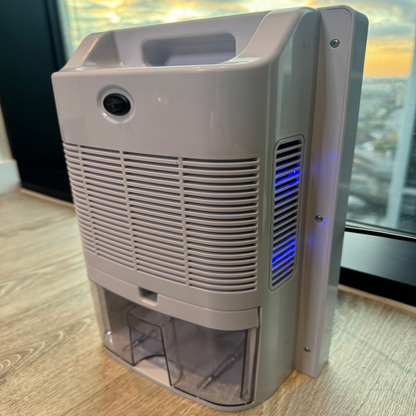 Best Dehumidifier for Dust Mites