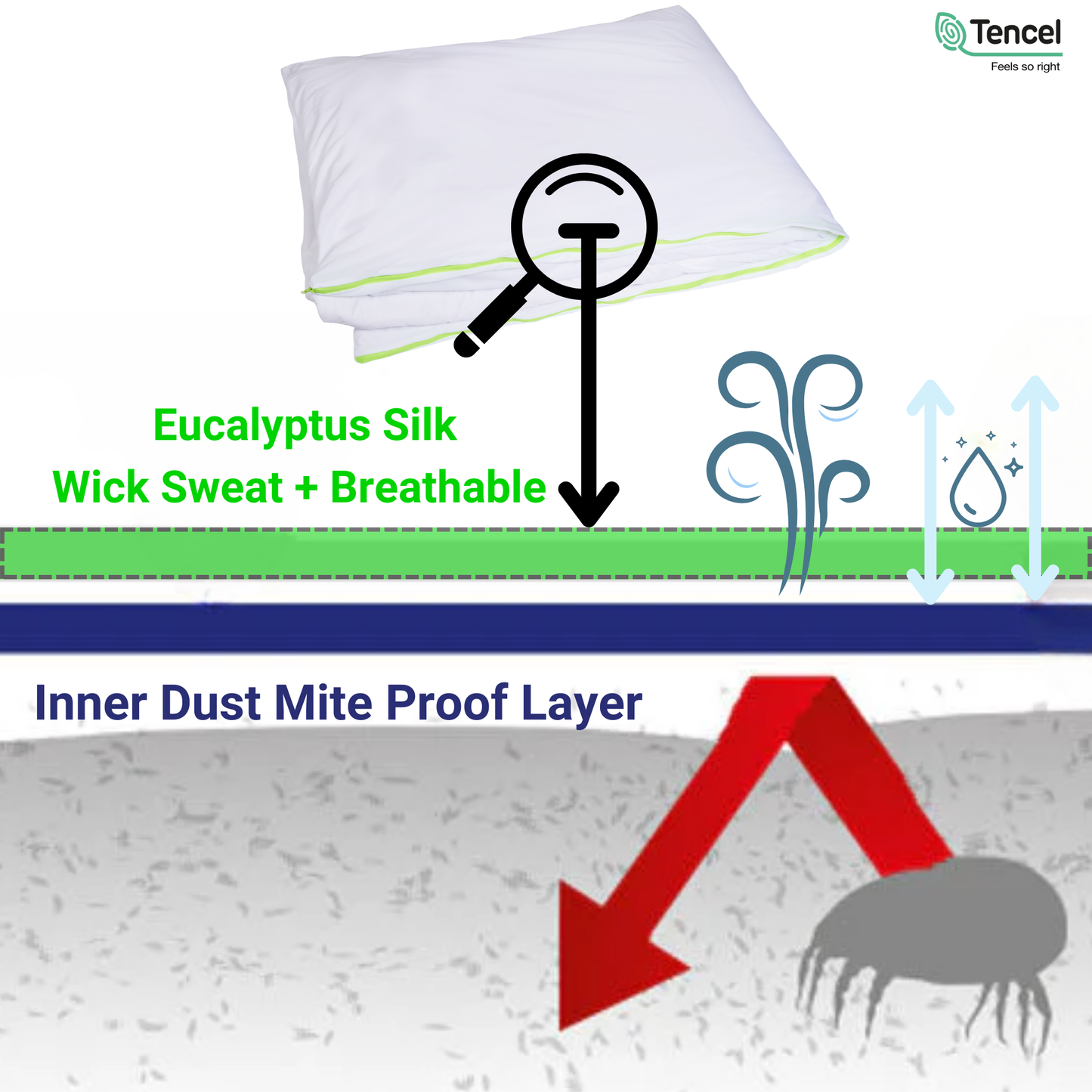 Anti Allergen Mattress Protector |  Dust Mite Mattress Cover