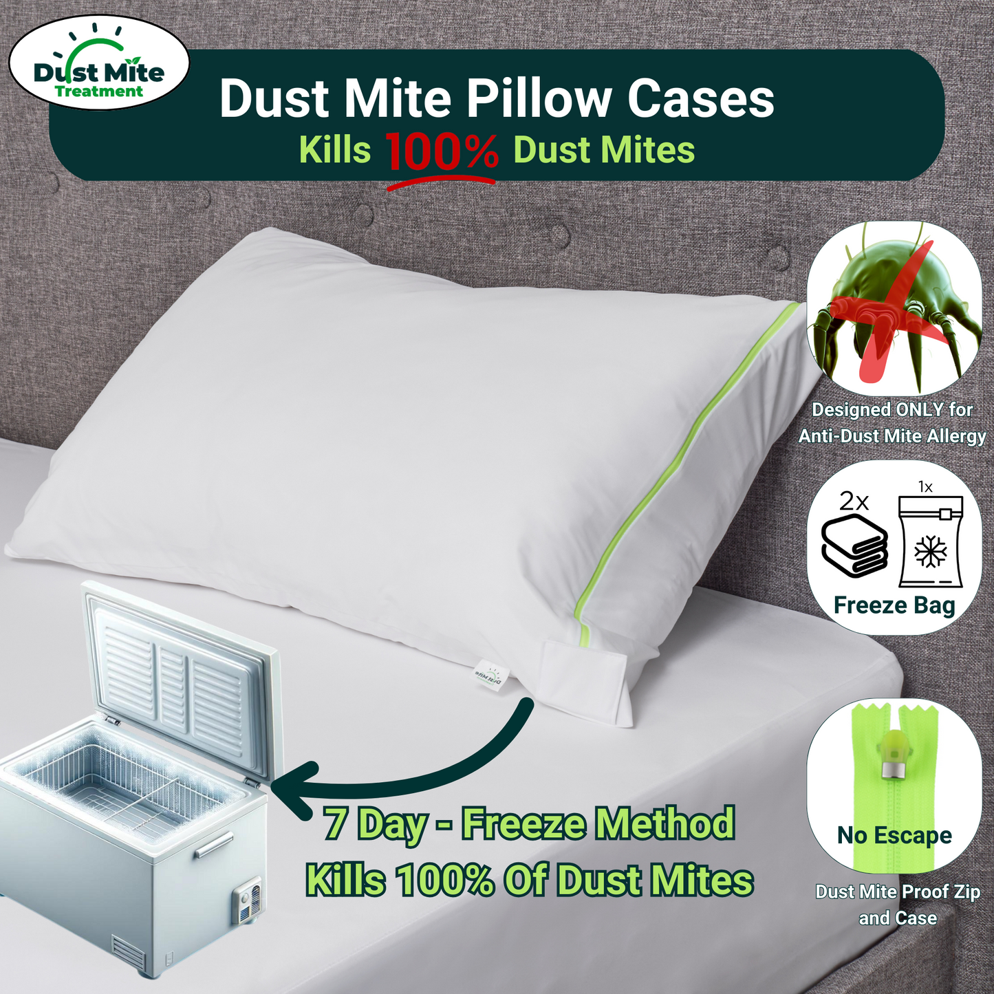 picture showing how to kill dust mites on the pillow