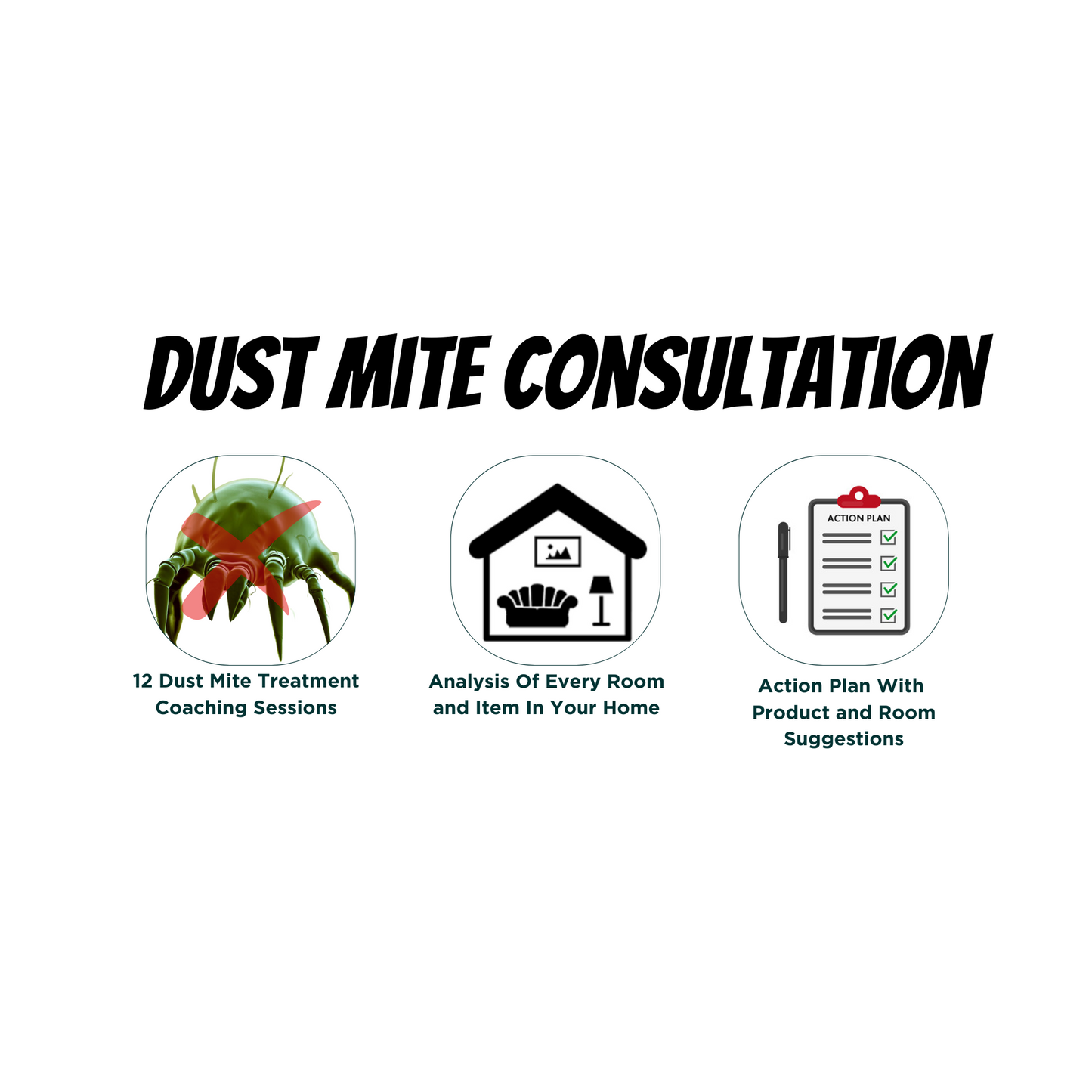 Anti Dust Mite Allergy Treatment - Consultation