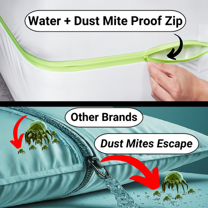 Anti Dust Mite Allergy Protector | Mattress Case - Dust Mite Treatment