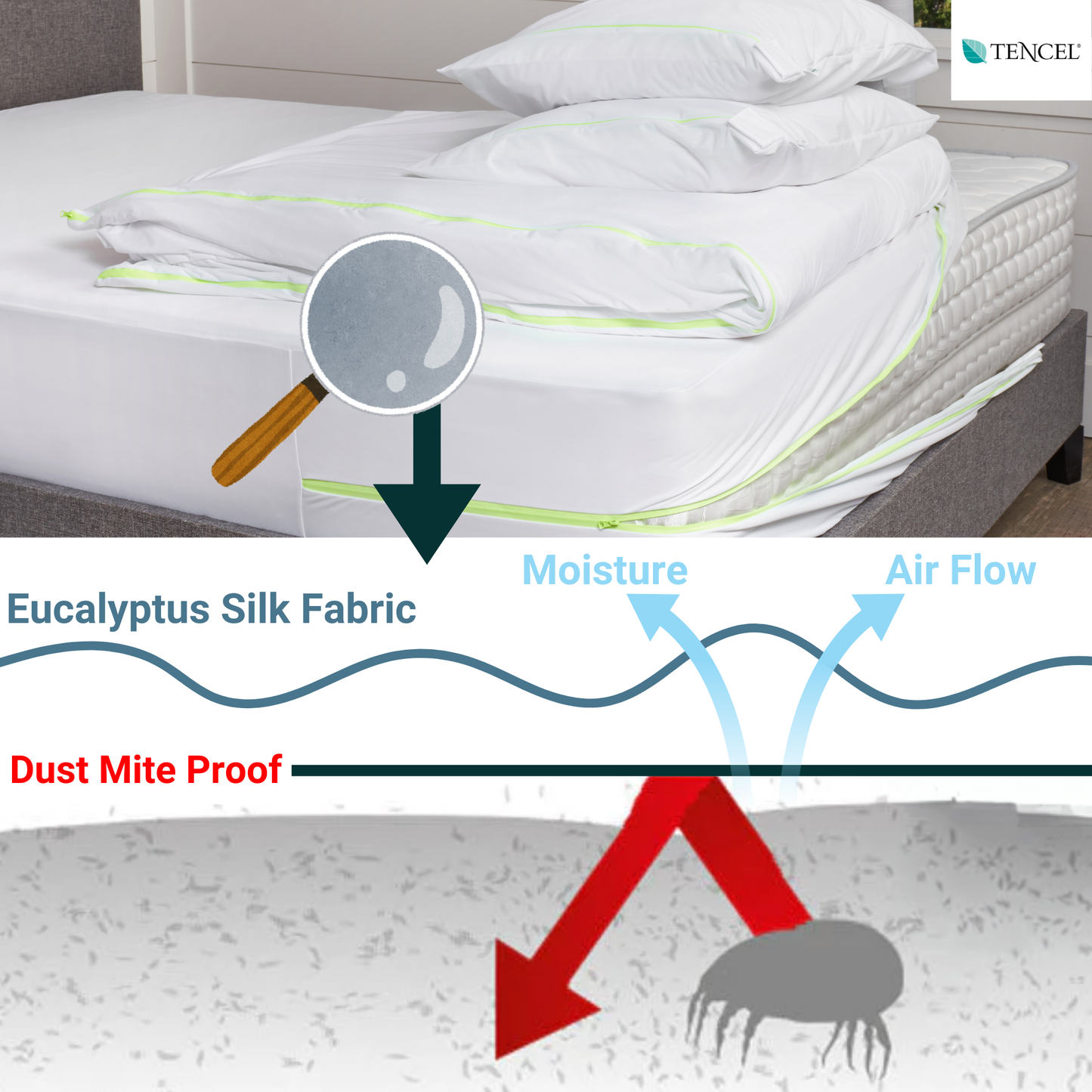 Duvet - Dust Mite Protector